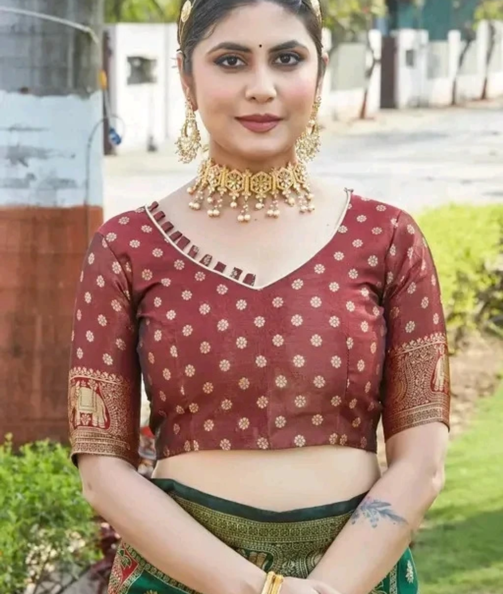 saree4